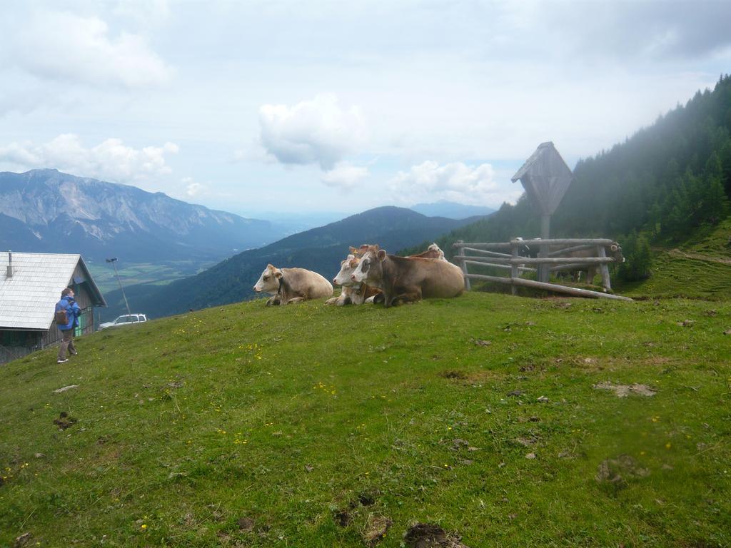 Landhaus Mitsche Hermagor-Pressegger See Bagian luar foto